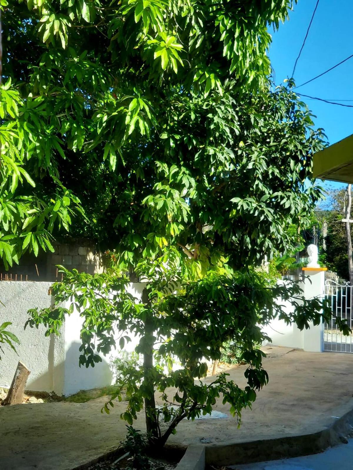 Corral Spring Cas Bed And Breakfast المظهر الخارجي الصورة