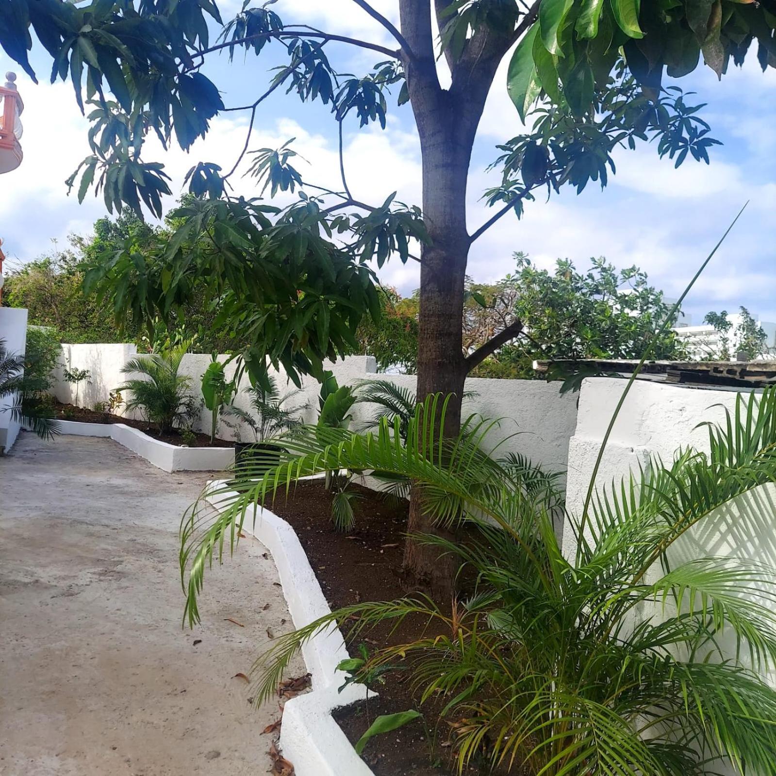 Corral Spring Cas Bed And Breakfast المظهر الخارجي الصورة