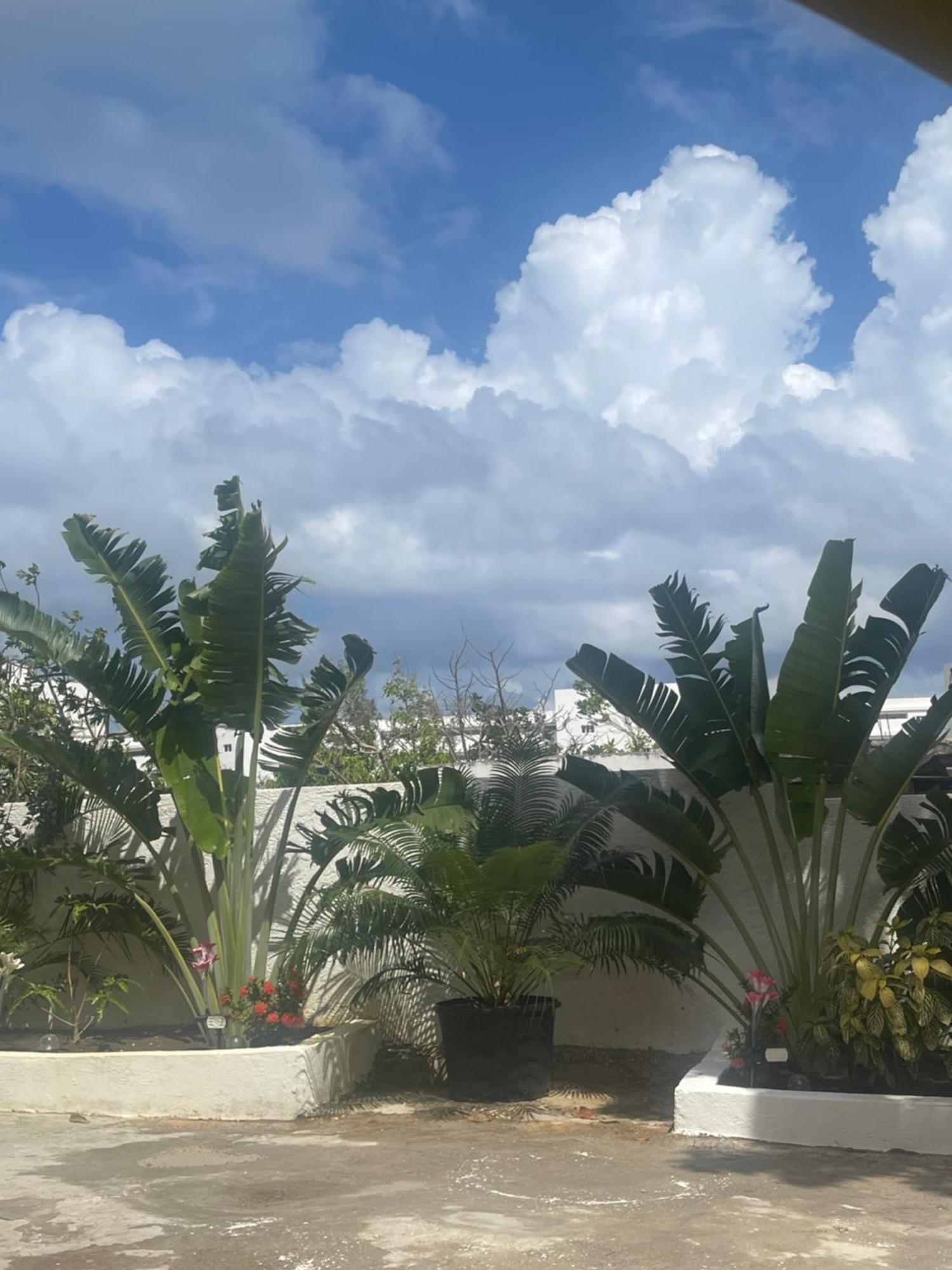 Corral Spring Cas Bed And Breakfast المظهر الخارجي الصورة